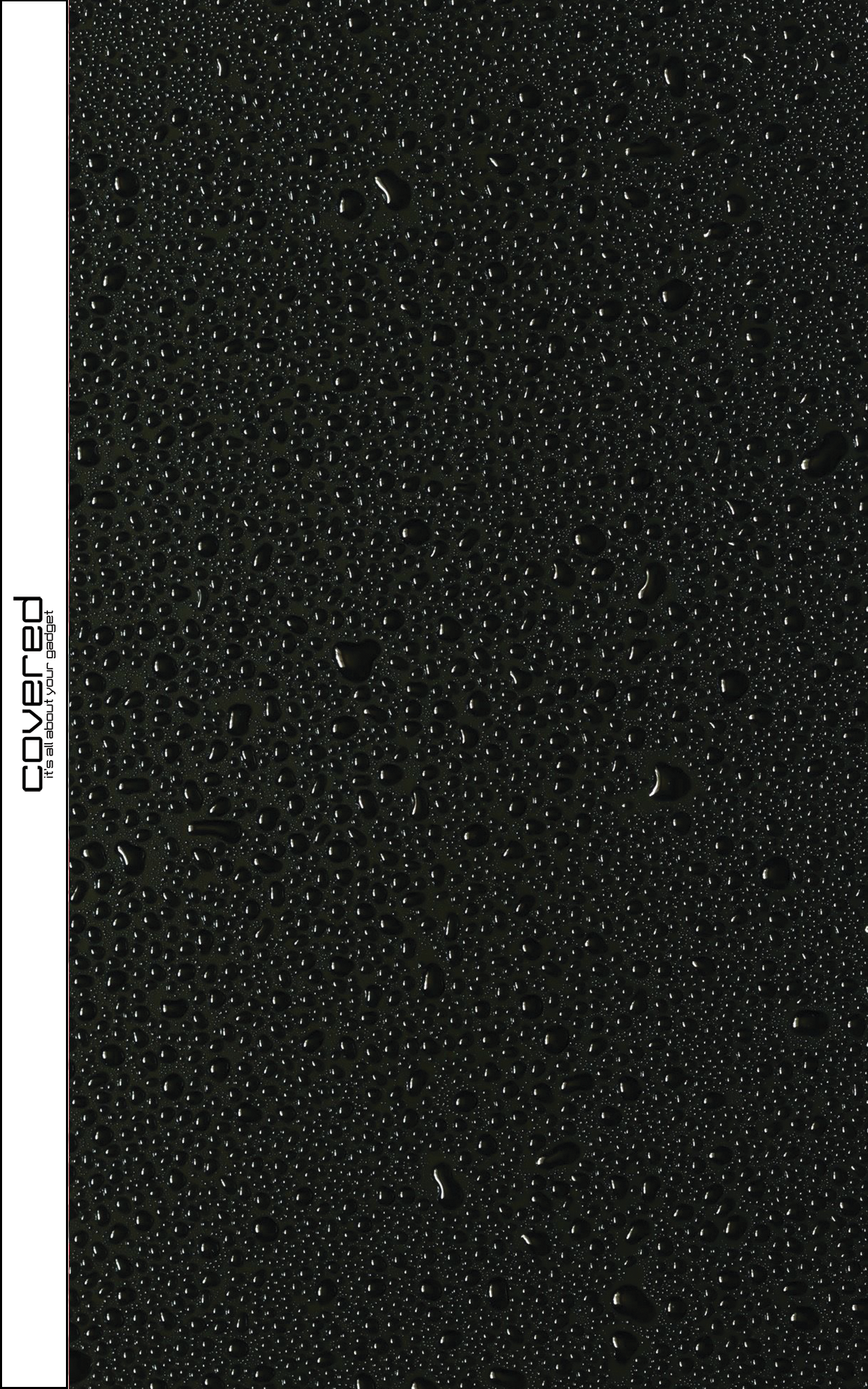 SKIN BLANK - Rain